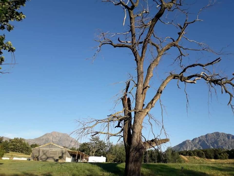 Klipfontein Rustic Farm & Camping Tulbagh Eksteriør billede