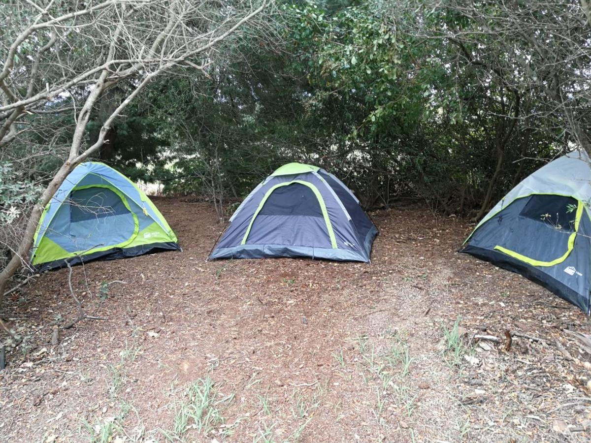 Klipfontein Rustic Farm & Camping Tulbagh Eksteriør billede