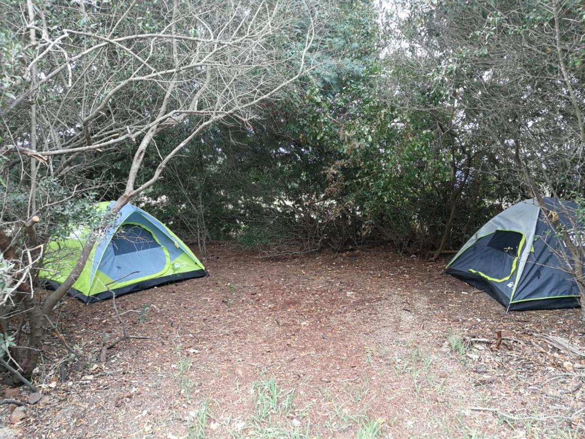 Klipfontein Rustic Farm & Camping Tulbagh Eksteriør billede
