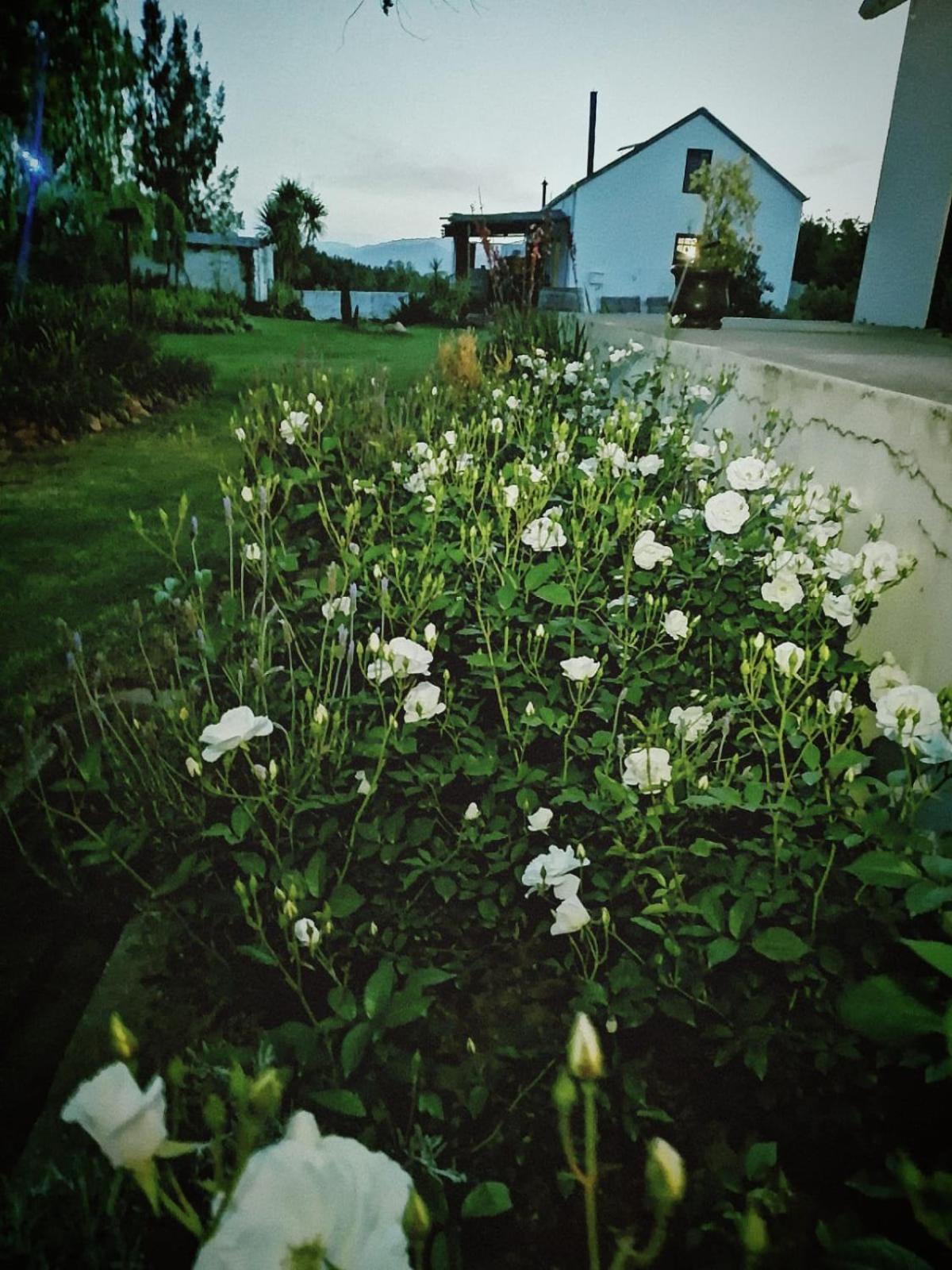 Klipfontein Rustic Farm & Camping Tulbagh Eksteriør billede